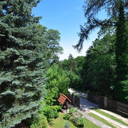 Appartement Staszica16 à Złoty Stok Extérieur photo