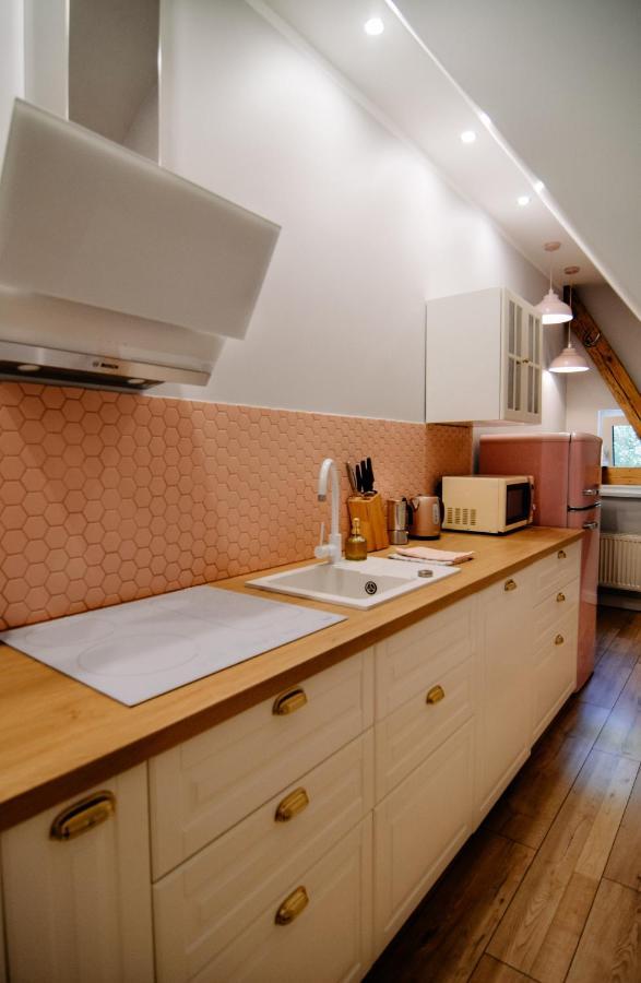 Appartement Staszica16 à Złoty Stok Extérieur photo